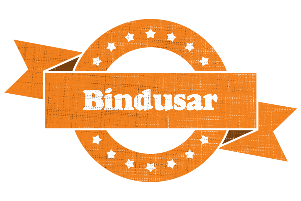 Bindusar victory logo