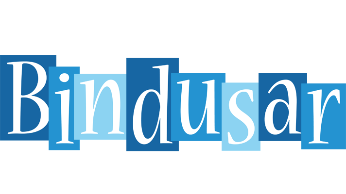 Bindusar winter logo