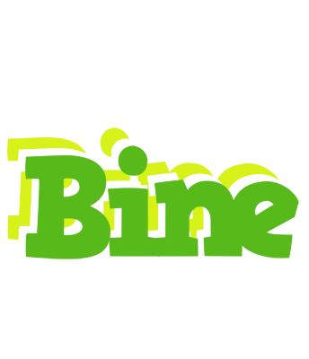 Bine picnic logo