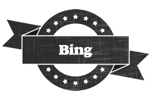 Bing grunge logo