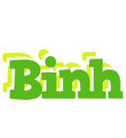 Binh picnic logo