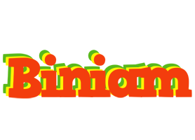 Biniam bbq logo