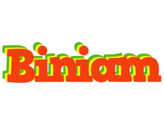 Biniam bbq logo