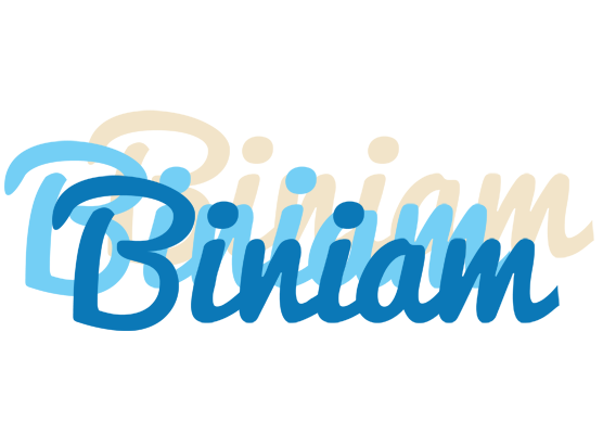 Biniam breeze logo
