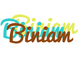 Biniam cupcake logo