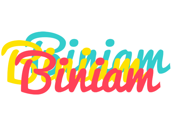Biniam disco logo