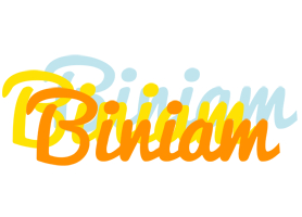 Biniam energy logo