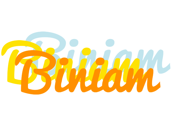 Biniam energy logo