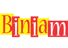 Biniam errors logo