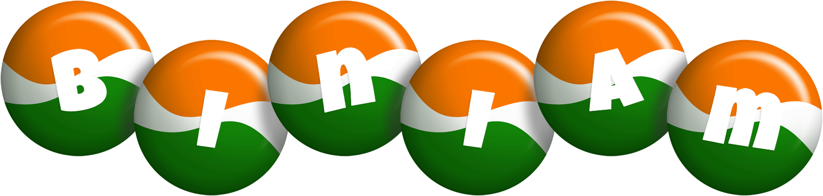 Biniam india logo