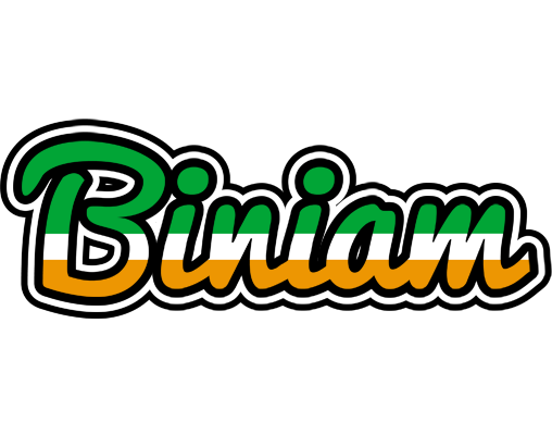 Biniam ireland logo