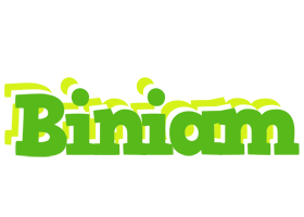 Biniam picnic logo