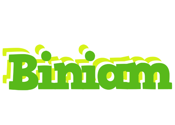 Biniam picnic logo