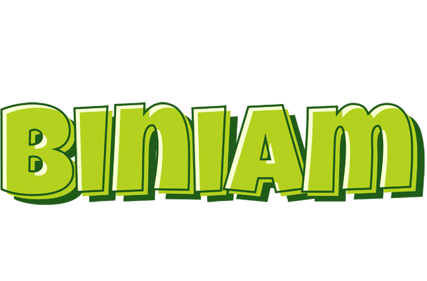 Biniam summer logo