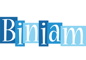 Biniam winter logo