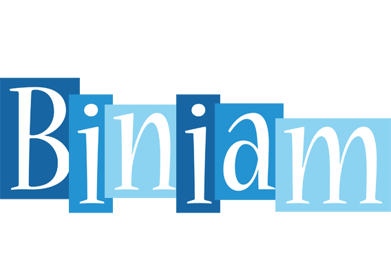 Biniam winter logo