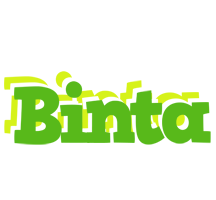 Binta picnic logo