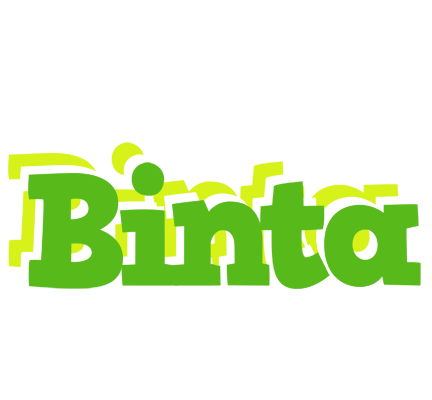 Binta picnic logo