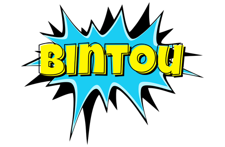 Bintou amazing logo