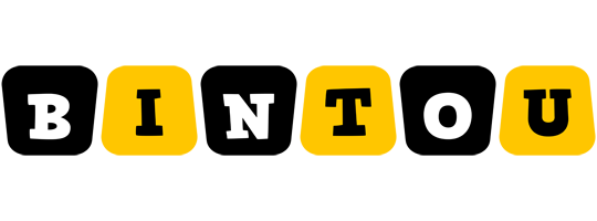 Bintou boots logo