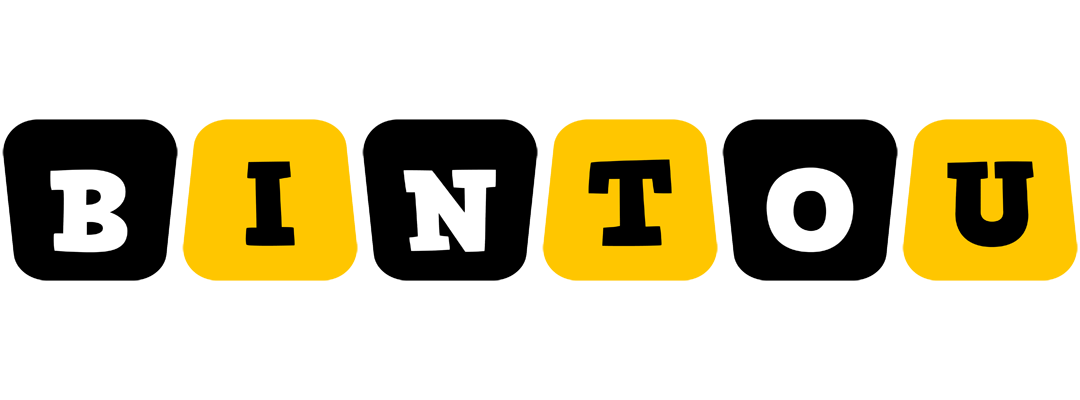 Bintou boots logo