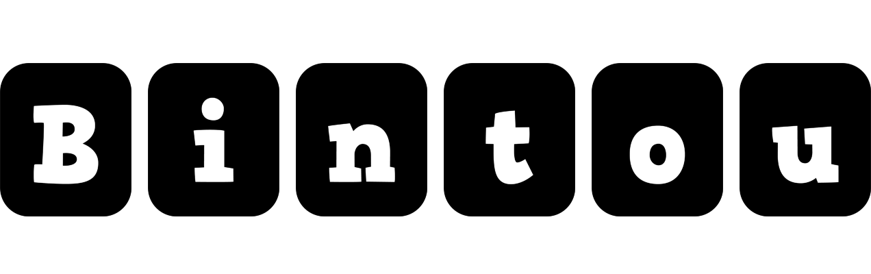Bintou box logo