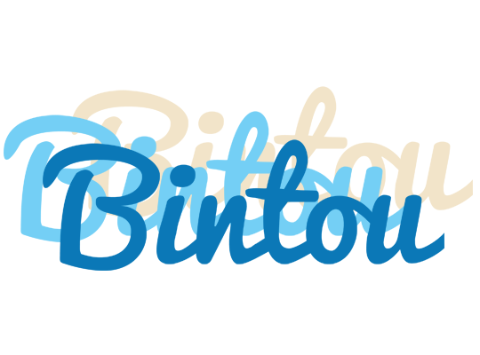 Bintou breeze logo