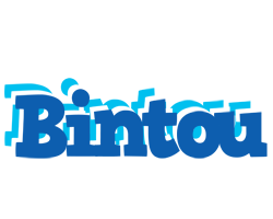 Bintou business logo