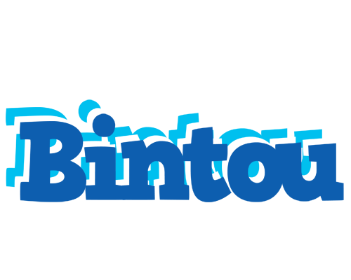 Bintou business logo