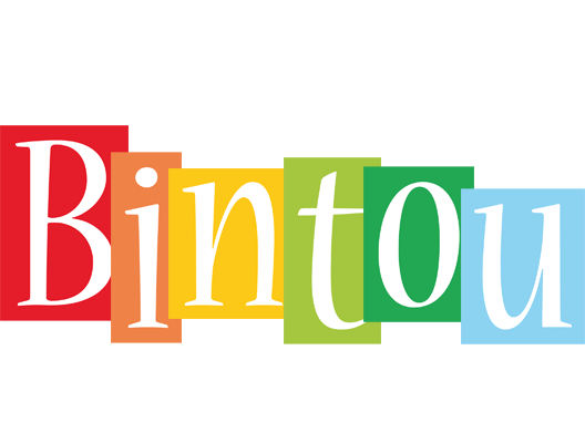Bintou colors logo