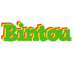 Bintou crocodile logo