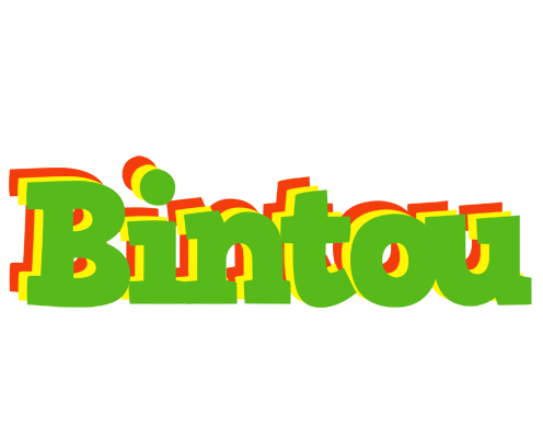 Bintou crocodile logo