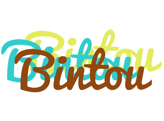 Bintou cupcake logo