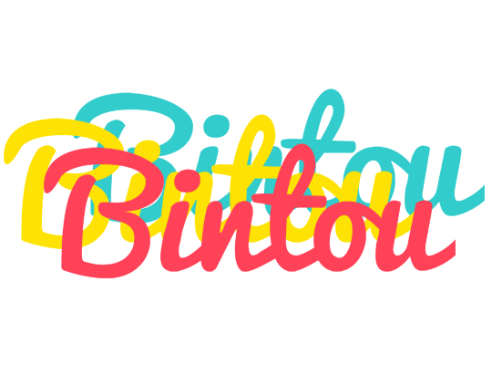 Bintou disco logo