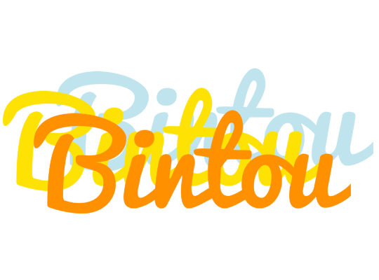 Bintou energy logo