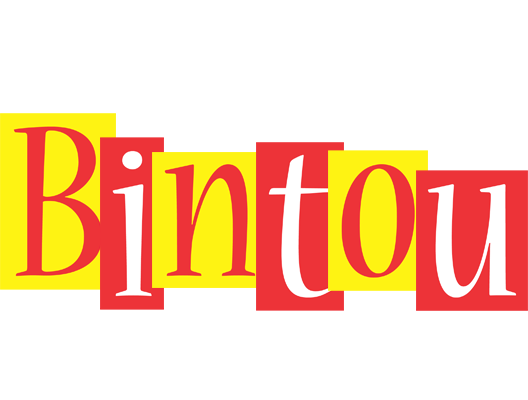 Bintou errors logo