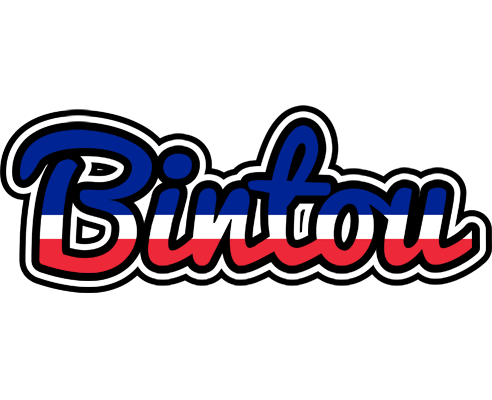 Bintou france logo