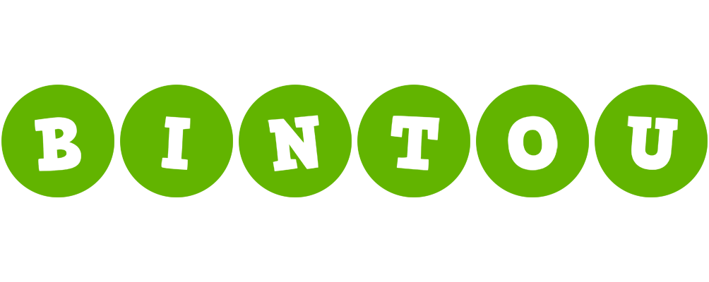 Bintou games logo