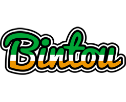 Bintou ireland logo