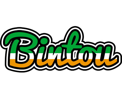 Bintou ireland logo
