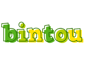 Bintou juice logo