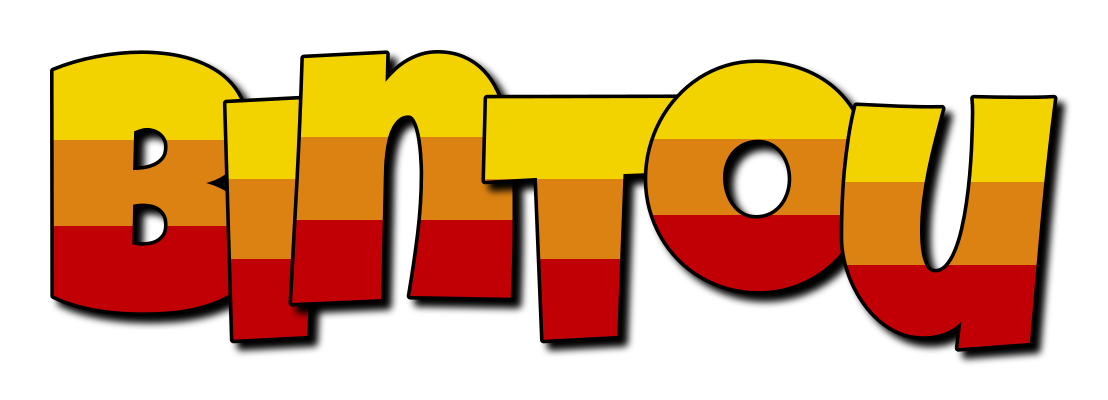 Bintou jungle logo