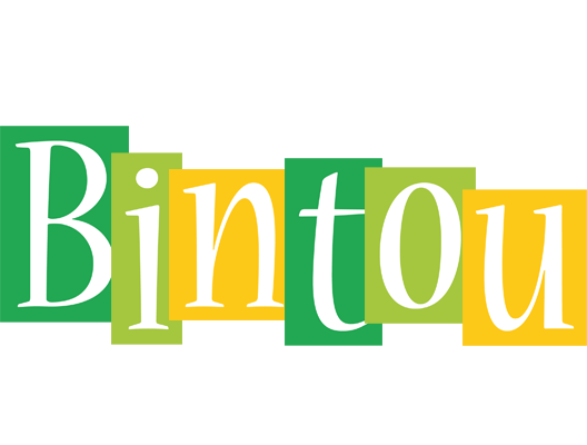 Bintou lemonade logo