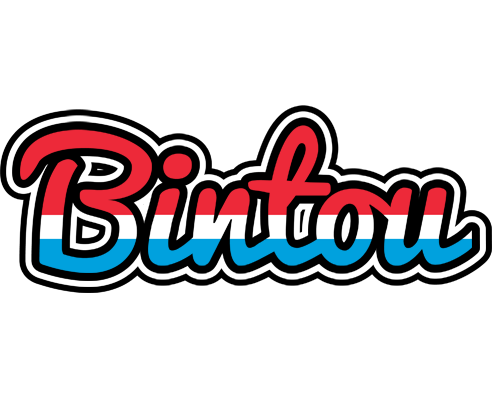 Bintou norway logo