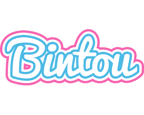 Bintou outdoors logo