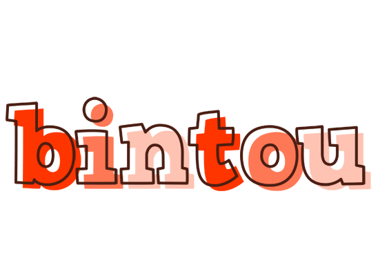 Bintou paint logo