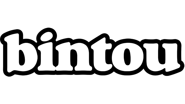 Bintou panda logo
