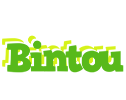 Bintou picnic logo