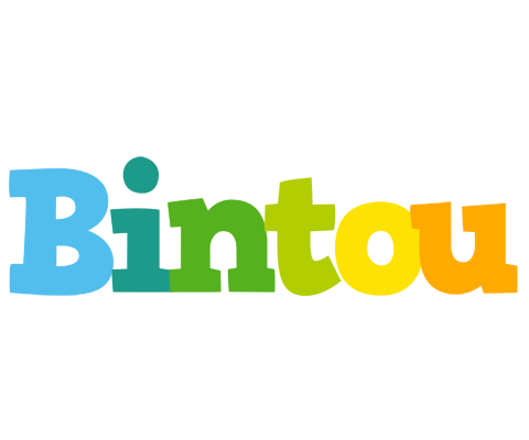 Bintou rainbows logo
