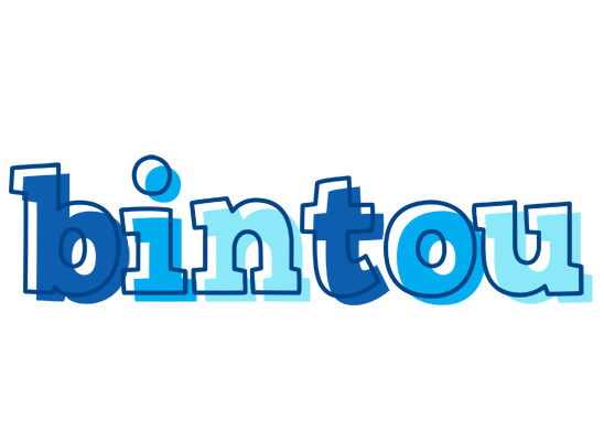Bintou sailor logo